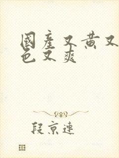 国产又黄又粗又色又爽