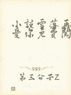 小说雪落再说我爱你免费阅读无弹窗