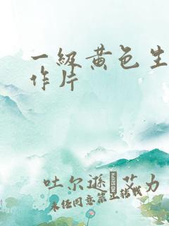 一级黄色生活动作片