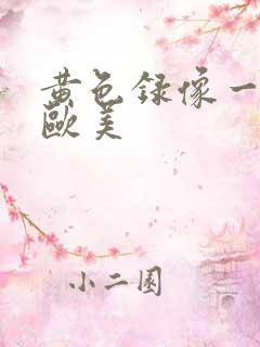 黄色录像一级版欧美