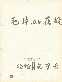毛片,av在线