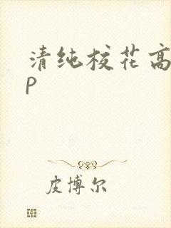 清纯校花高hnp