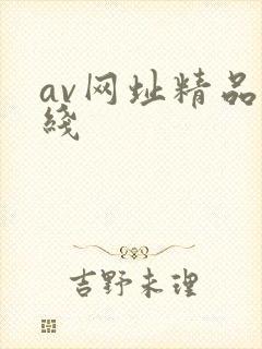 av网址精品在线