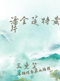 潘金莲特黄一级片