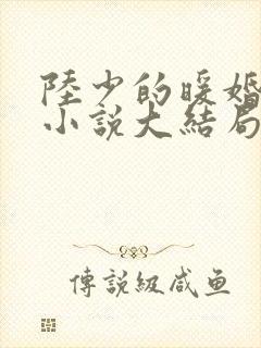 陆少的暖婚新妻小说大结局