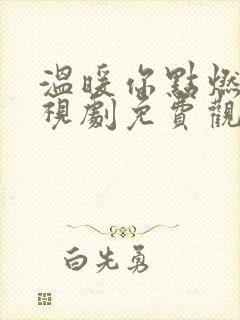 温暖你点燃我电视剧免费观看