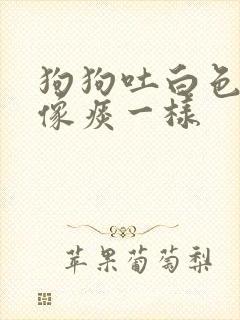 狗狗吐白色粘液像痰一样