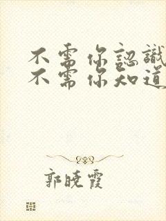 不需你认识我,不需你知道我是什么歌