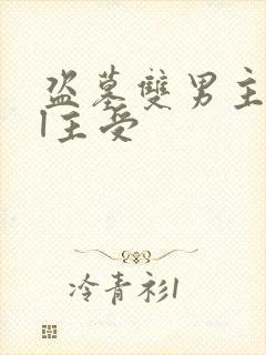 盗墓双男主all主受