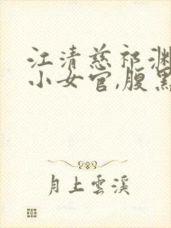 江清慈祁渊替身小女官,腹黑帝王沦陷了阅