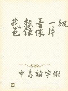 我想看一级特黄色录像片