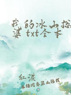 我的冰山总裁老婆 txt全本