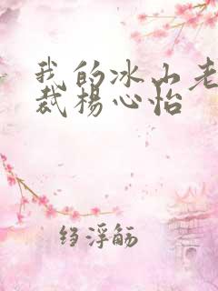 我的冰山老婆总裁杨心怡