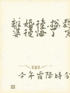 离婚后,总裁老婆后悔了 完结版