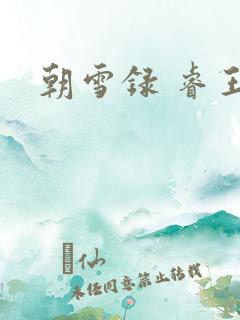 朝雪录 睿王