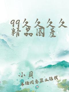 99久久久久久精品国产