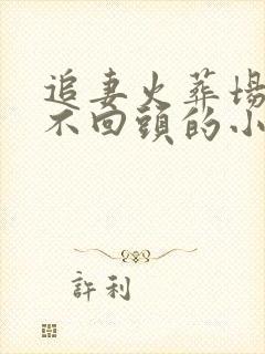 追妻火葬场女主不回头的小说