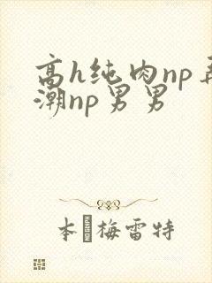 高h纯肉np弄潮np男男