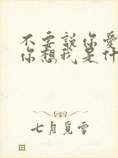 不要说你爱我,你想我是什么歌