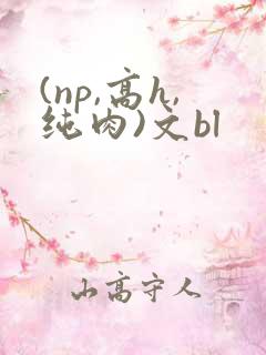 (np,高h,纯肉)文bl