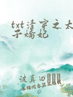 txt清穿之太子娇妃
