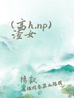 (高h,np)渣女