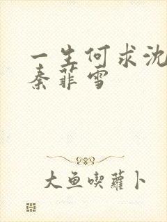 一生何求沈浩,秦菲雪