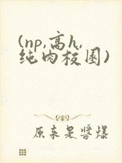 (np,高h,纯肉校园)