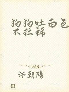 狗狗吐白色粘液不拉稀