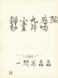 猫小九历险记有动画片吗