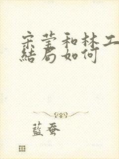 宋莹和林工最后结局如何