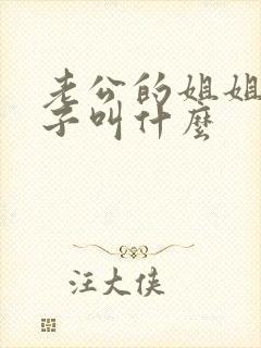 老公的姐姐的孩子叫什么