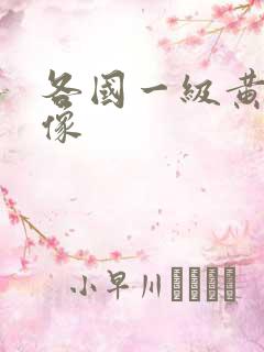 各国一级黄色录像