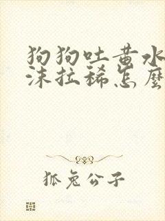 狗狗吐黄水带泡沫拉稀怎么办