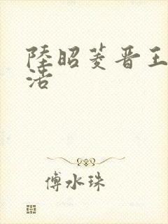 陆昭菱晋王朱明浩