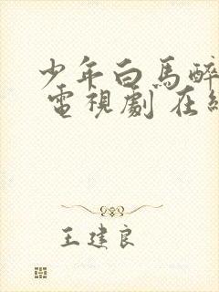 少年白马醉春风 电视剧 在线观看