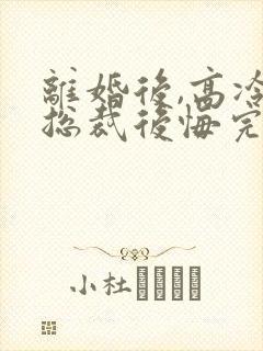 离婚后,高冷女总裁后悔完结篇