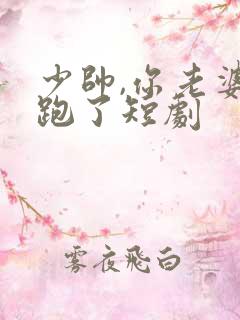 少帅,你老婆又跑了短剧