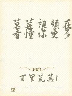 草莓视频在线观看懂你更多