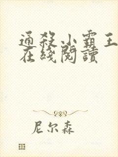 通杀小霸王小说在线阅读