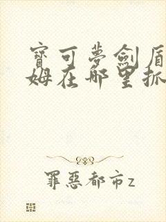 宝可梦剑盾洛托姆在哪里抓