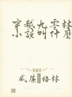 穿越九零林凡的小说叫什么名字