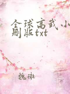 全球高武小说未删版txt