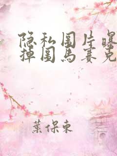 隐私图片曝光去掉图马赛克