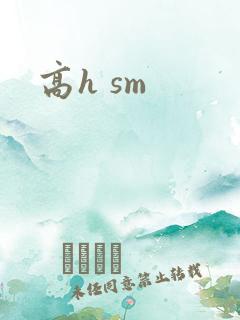 高h sm