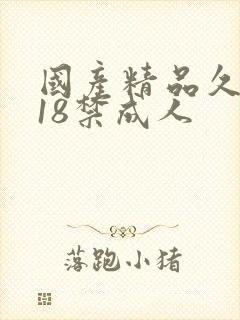 国产精品久久久18禁成人