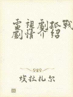 电视剧孤战分集剧情介绍