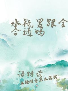 水瓶男跟金牛女合适吗