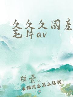 久久久国产精品毛片av