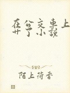 在公交车上被人艹了小说